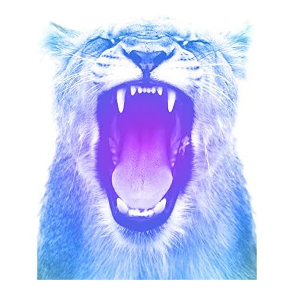 Wee Blue Coo Colourful Roar Lion Art Print Canvas Premium Wall Decor Poster