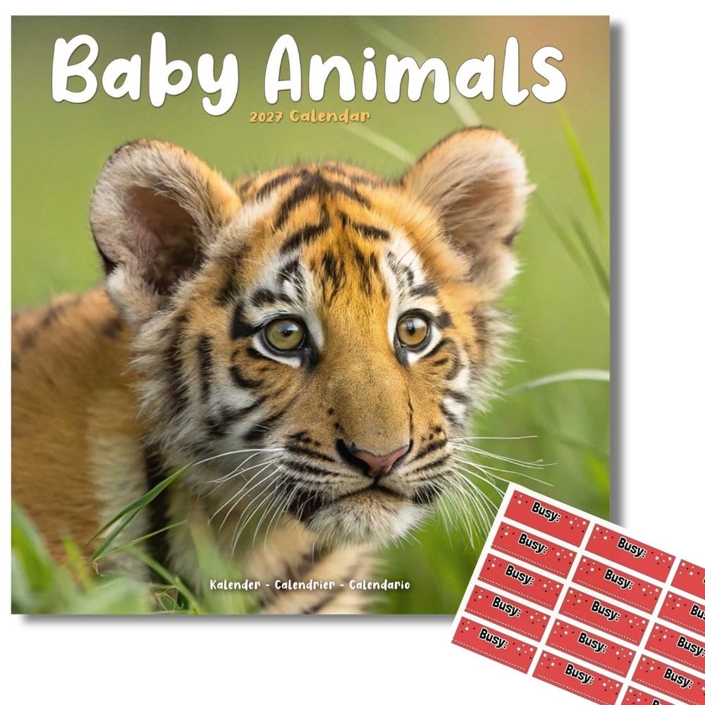 Avonside Baby Animals 2027 Calendar with Organisational Stickers, 16 Month Square Wall Calendar (Sept 2026 - Dec 2027), UK Planner for Animal Lovers, Home or Office, 11.6 x 11.6 in