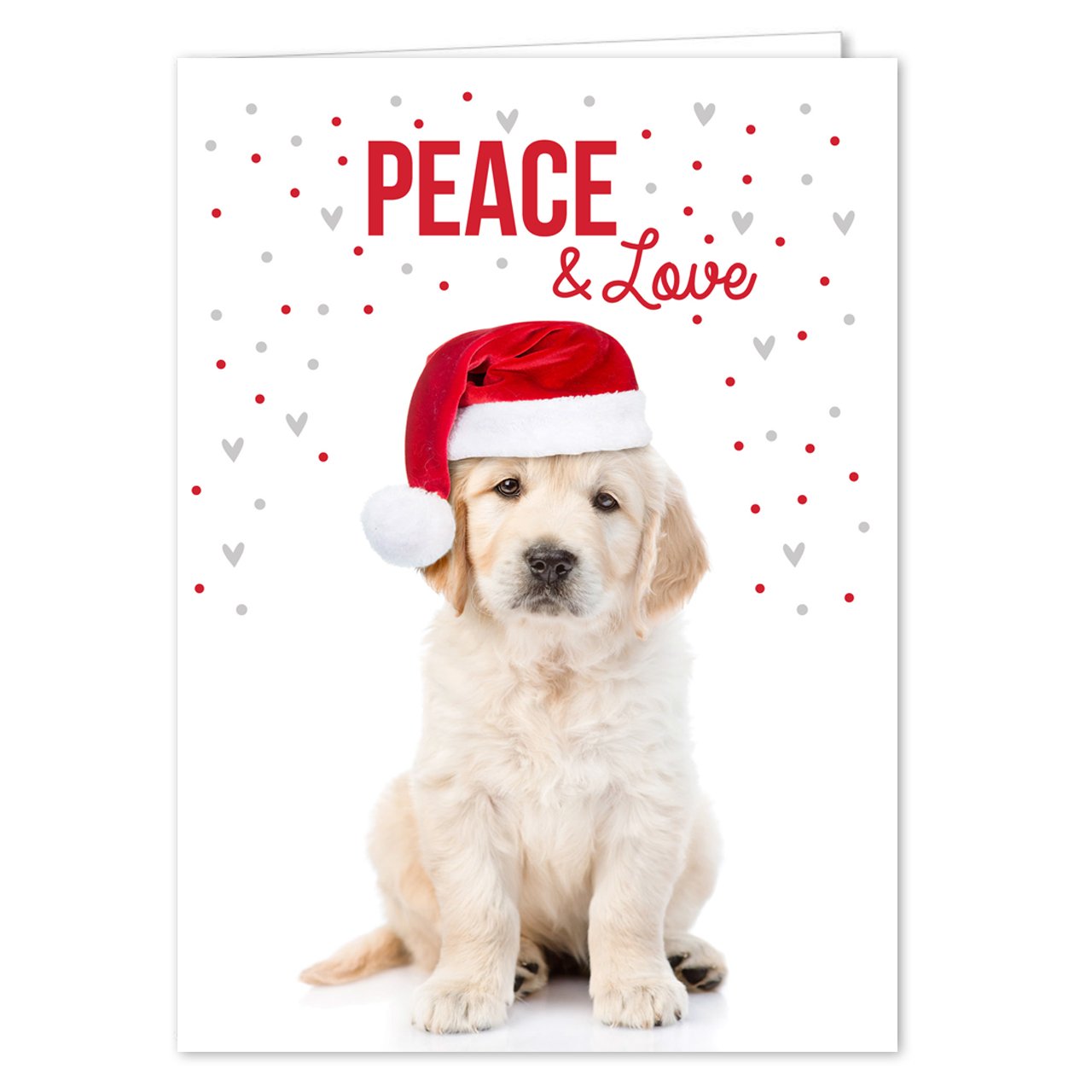 Canopy Street Labrador Love Holiday Card Pack / 25 Cards And Envelopes Pack/Festive Santa Hat Puppy Design With Greeting Inside/Dog Christmas And New Year Cards