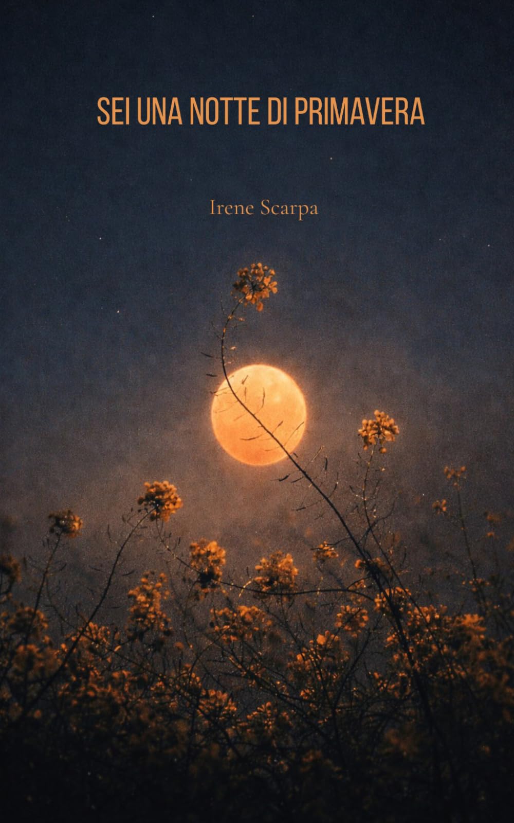 Sei una notte di primavera: Raccolta di poesie d'amore