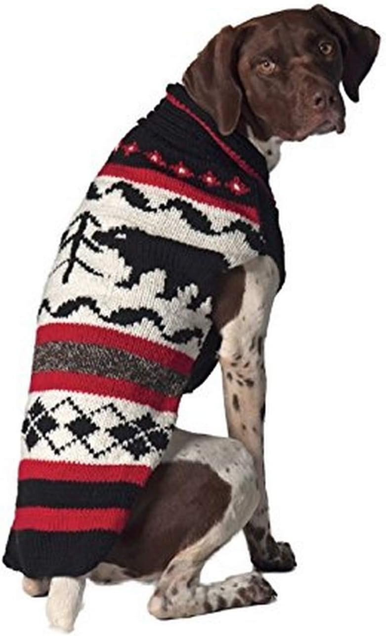 dog bear sweater
