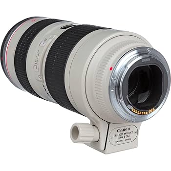 Amazon.com : Canon EF 70-200mm f/2.8L USM Lens (2569A004) +