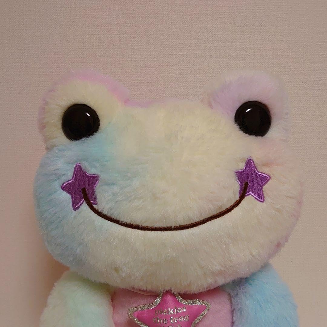 かえるのピクルス  USA  Mサイズ ビーンドール レインボー かえるのピクルス pickles home