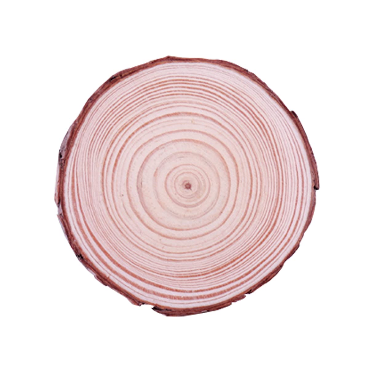 40 Piezas de Madera Natural Rebanadas Artesanales Círculos de Madera sin Terminar para Artes de Bricolaje Adornos de Navidad Diámetro de 6 cm a 7 Cm, Grueso 1 cm