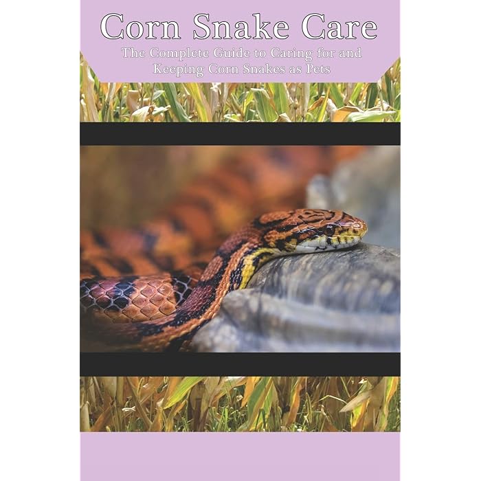 Buy Corn Snake Care The Complete Guide to Caring for and Keeping Corn