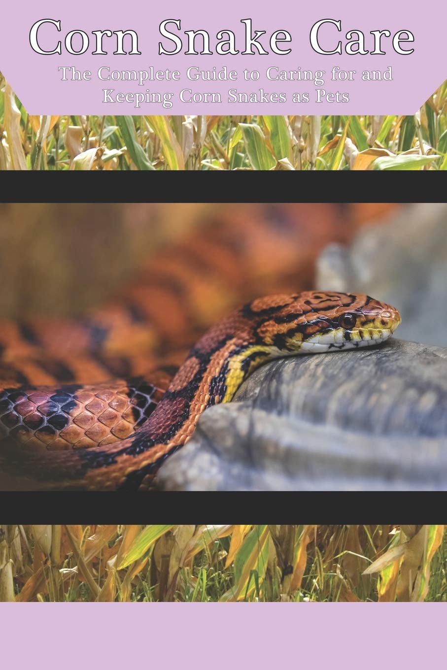 Buy Corn Snake Care The Complete Guide to Caring for and Keeping Corn
