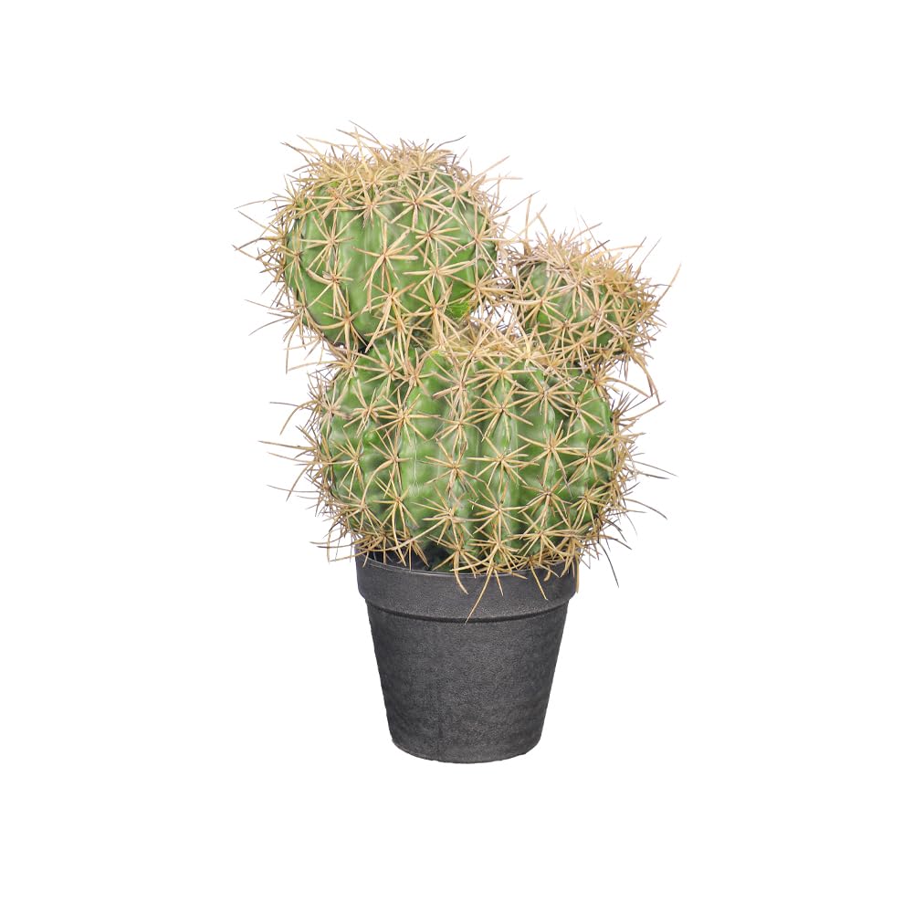 Sponsored Ad – YAHOME Artificial Cactus Plant with Soft Spines-Medium Size, Green, Realistic Faux Cactus in Matte Black Pot, UV Resistant, No Maintenance, Perfect for Home & Office Decor