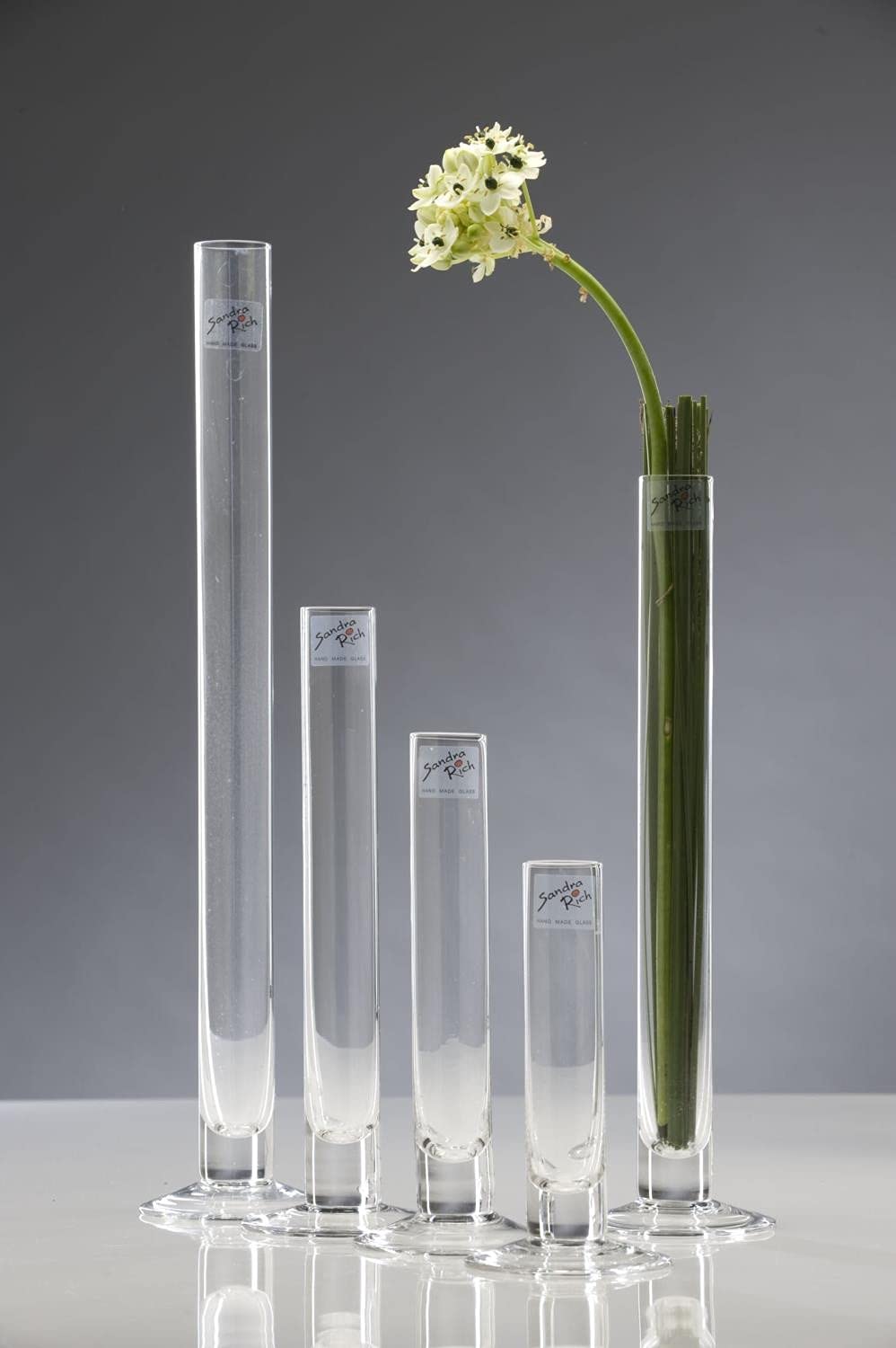 Sandra Rich 6er Set Reagenzgläser Glasvasen SOLIFLEUR mit Fuss H. 20cm D. 3cm