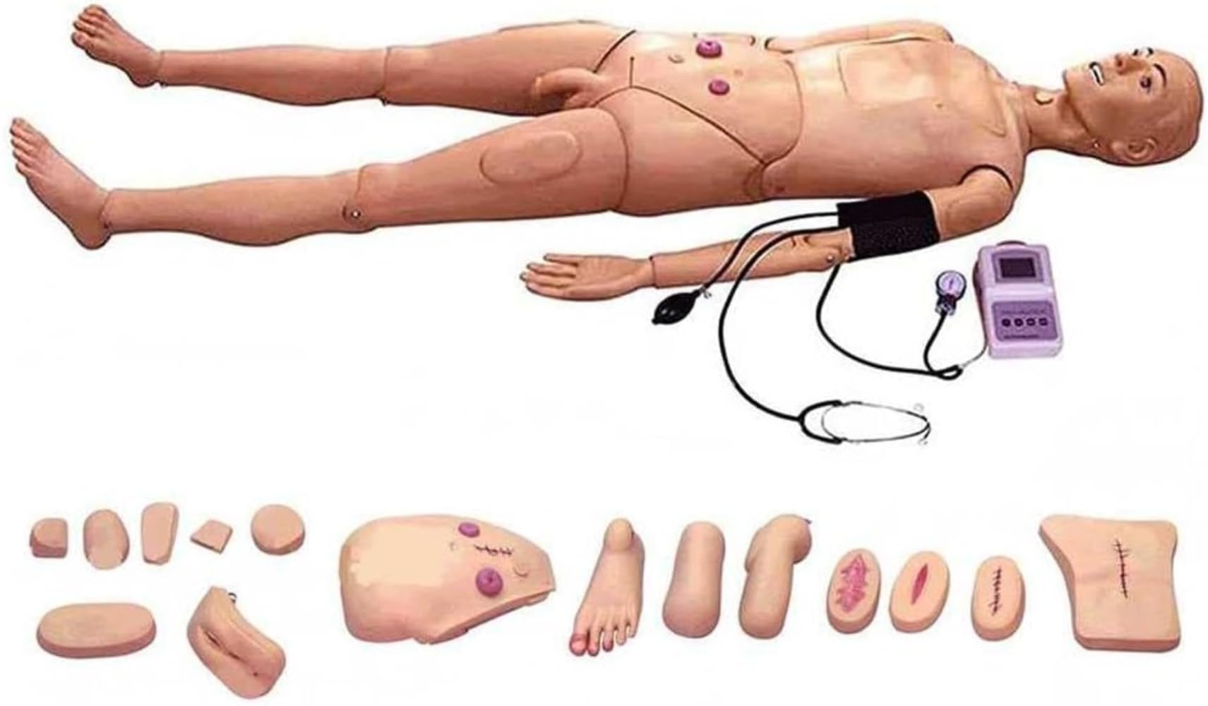 Nursing Manikin with Arm Blood, Medical Mannequin for Training Mannequin Full Body Training CPR Simulator Human Model Manikin for Students Education Medical