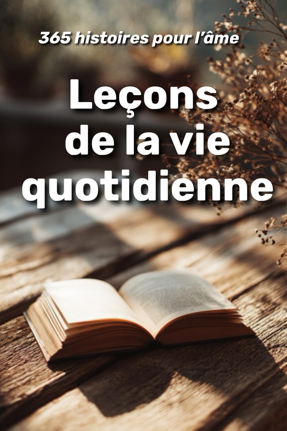 Leçons de la vie quotidienne : 365 histoires pour l’âme