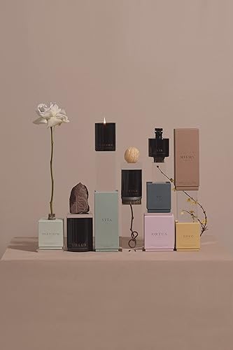 Miniatura 8 de Vancouver Candle Co. Discovery Candle  Hiems