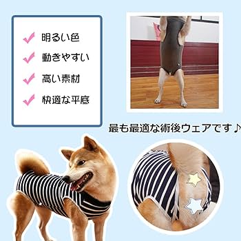 術後ウェア 傷口保護 傷舐め防止 ボタンタイプ クリスマス レッド Amazon | oUUoNNo 術後ウェア 犬のための回復スーツ 傷口保護 傷