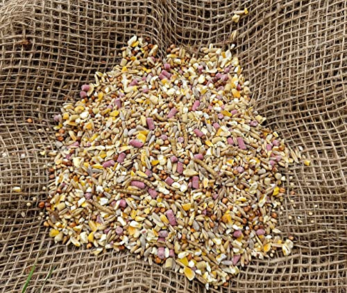 Bamfords Robin & Blackbird Wild Bird Food No Mess Seed Mix 20kg – Wildlife News Shop - Vimarsana News