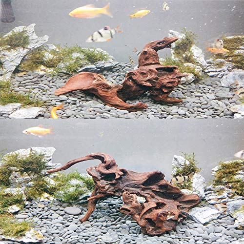 PINVNBY Natural Driftwood for Aquarium Decor Fish Tank Decorations Reptile Decor Driftwood Decor, 3 Pieces 7"-11" Assorted Driftwood Branch - Image 6