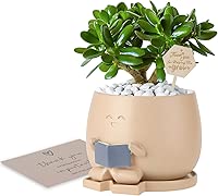 Bookworm Planter Pot with Drainage Cute Plant Pots for Succulents & Small Plants | Teacher Gifts Housewarming|Book Lover Gift, Indoor Planters | Christmas Teacher Gift Mother Dad Appreciation