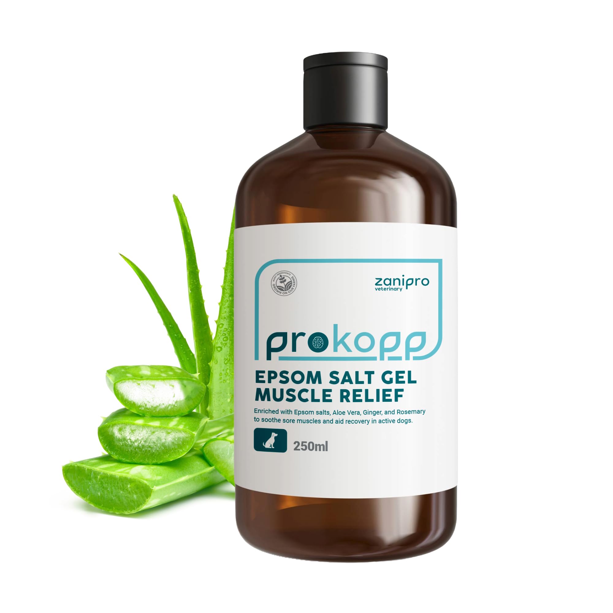 Zanipro Aloe Vera Gel for Dogs - Itchy Dog Skin Relief, Warming Botanicals for Cold Weather Dog Allergy Relief, Joint Aid for Dogs, Epsom Salt Gel for Muscle & Joint Comfort, Eases Stiffness | 250ml