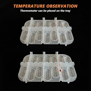 eggtrat 14box Amazon.com : GKPONSX 14 Grids Reptile Breeding Box, Egg