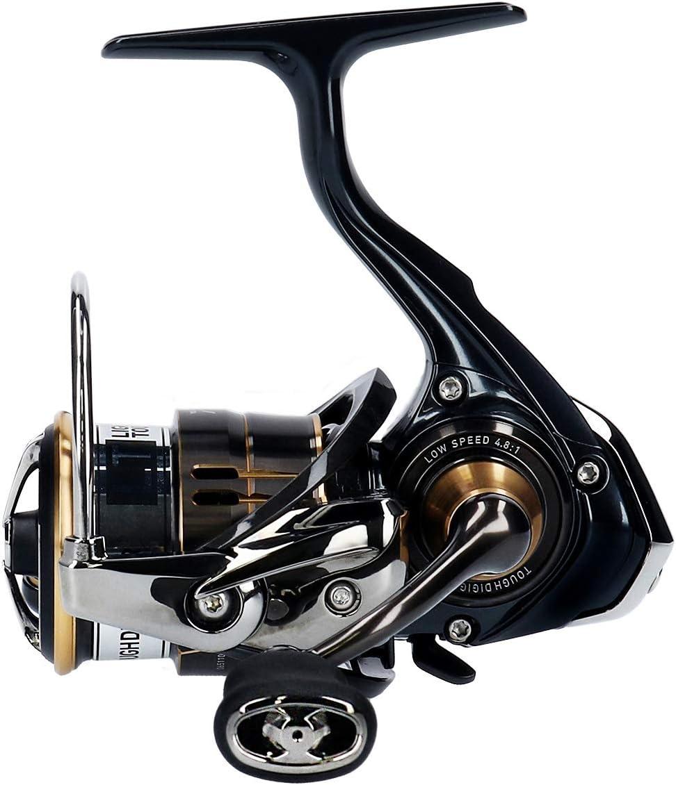 Amazon ダイワ Daiwa スピニングリール 19 バリスティック Fw Lt1000s P 19モデル ダイワ Daiwa スポーツ アウトドア