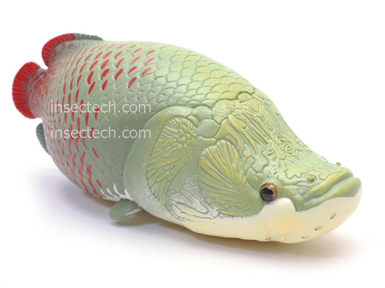 Amazon.co.jp: 【動物の惑星】ピラルク フィギュア完成品