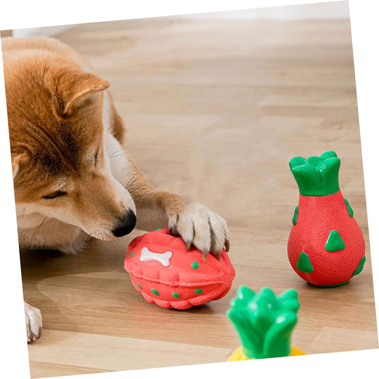POPETPOP 5stücke Kauspielzeug Für Hunde Langlebigem Interaktives Spielzeug Mit Geräuschen Für Und Kleine Mittelgroße Beschäftigung Und Zahnpflege