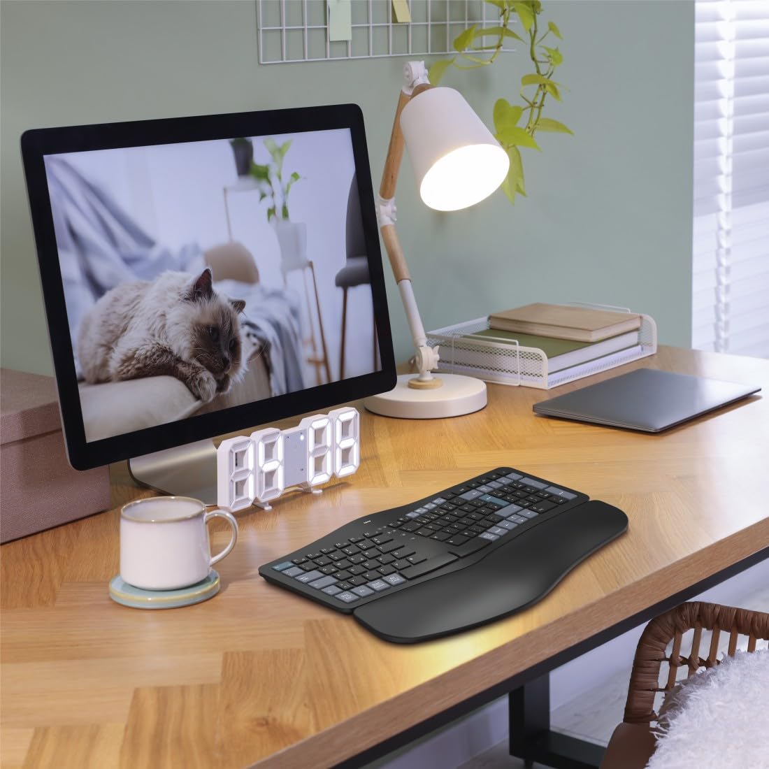 Hama ergonomische Tastatur kabellos, Multi-Device 1x Funk, 2X Bluetooth | Keyboard schwarz, geschwungene Form, geteiltes Tastenfeld, anpassbarer Tippwinkel, Handballenauflage, QWERTZ DE