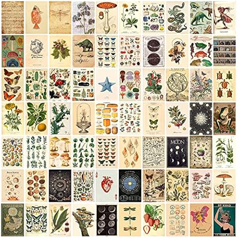 70pcs Vintage Aesthetic Wall Collage Kit Pictures, 4x6 Inch Cottagecore Botanical Posters Wall Art Illustration Print, Cute Tarot Photo Collection for Teens Boys Girls Dorm Bedroom Decorations Cover