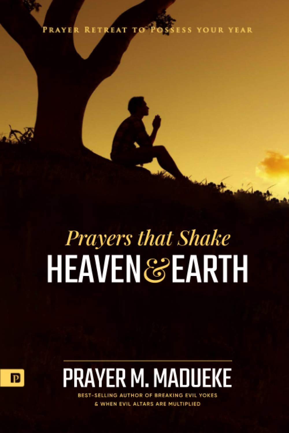 Prayers that Shake Heaven and Earth: Prayer Retreat To Possess Your Year (Prayer for New Year 2022)