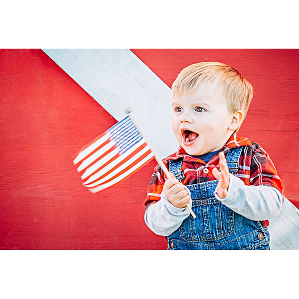 Operitacx 12pcs Usa Flag American Hand Waving Flags for Festival Celebrations for Outdoor Events for Patriotic Displays - Image 3