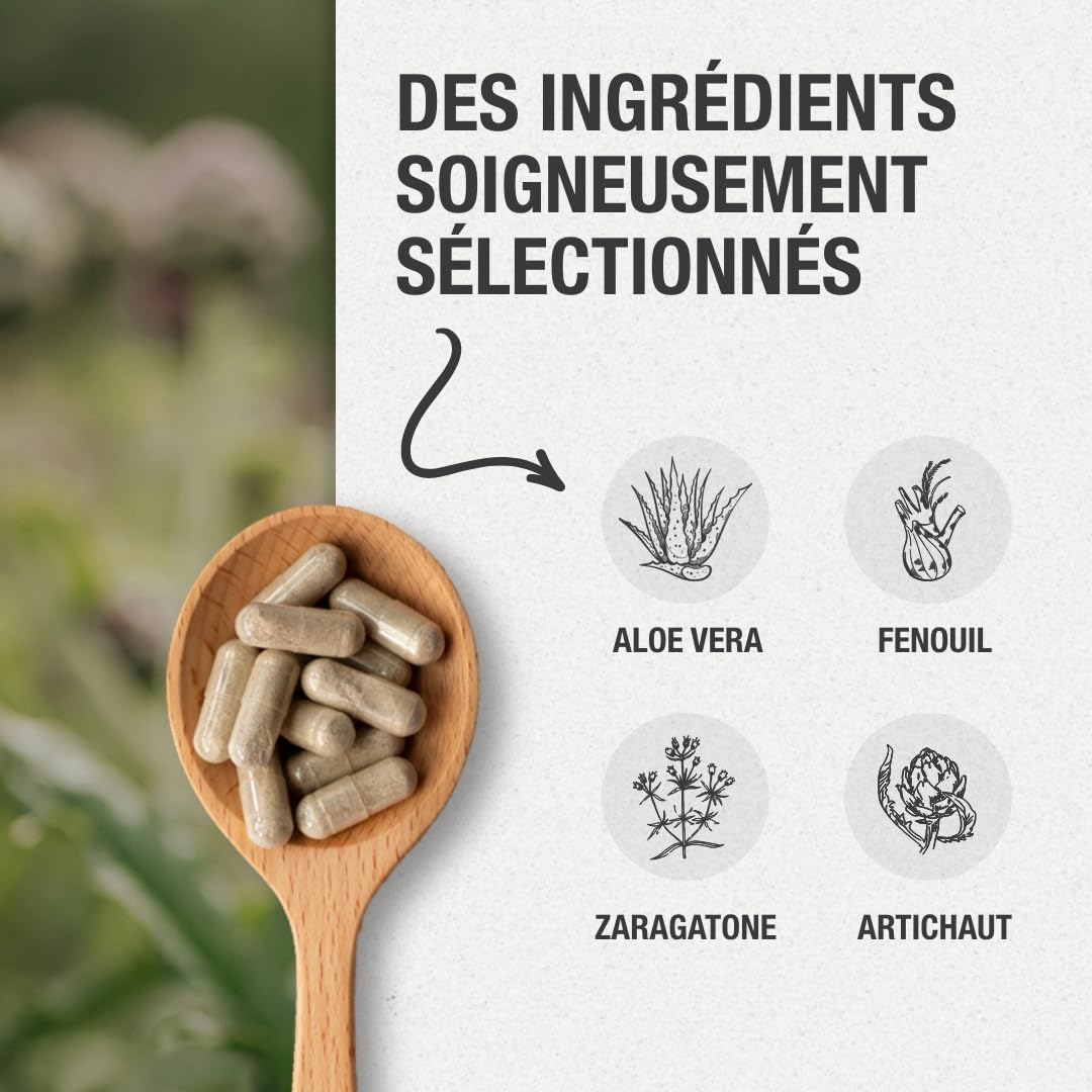 Natnatura Détox Aloe Vera & Artichaut – Fenouil, Psyllium – 90 Gélules – Pour les routines alimentaires irrégulières