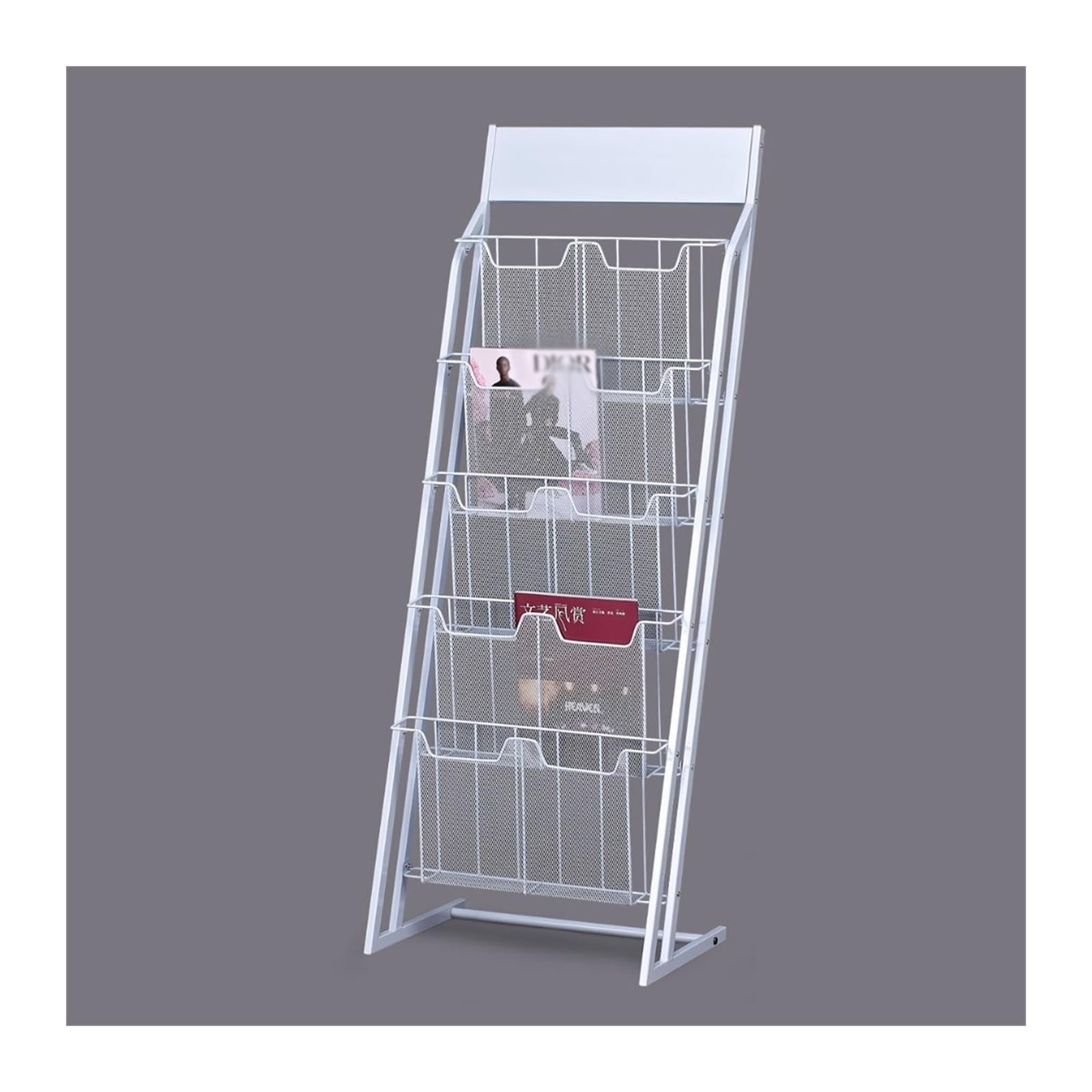 ASerZenith Floor-Standing Magazine Rack, 5-Layer Magazine Holder Brochure Stand, Floor-Standing Information Display Stand, Magazine Rack for Newspaper and Products Exhibition,Displ (White)