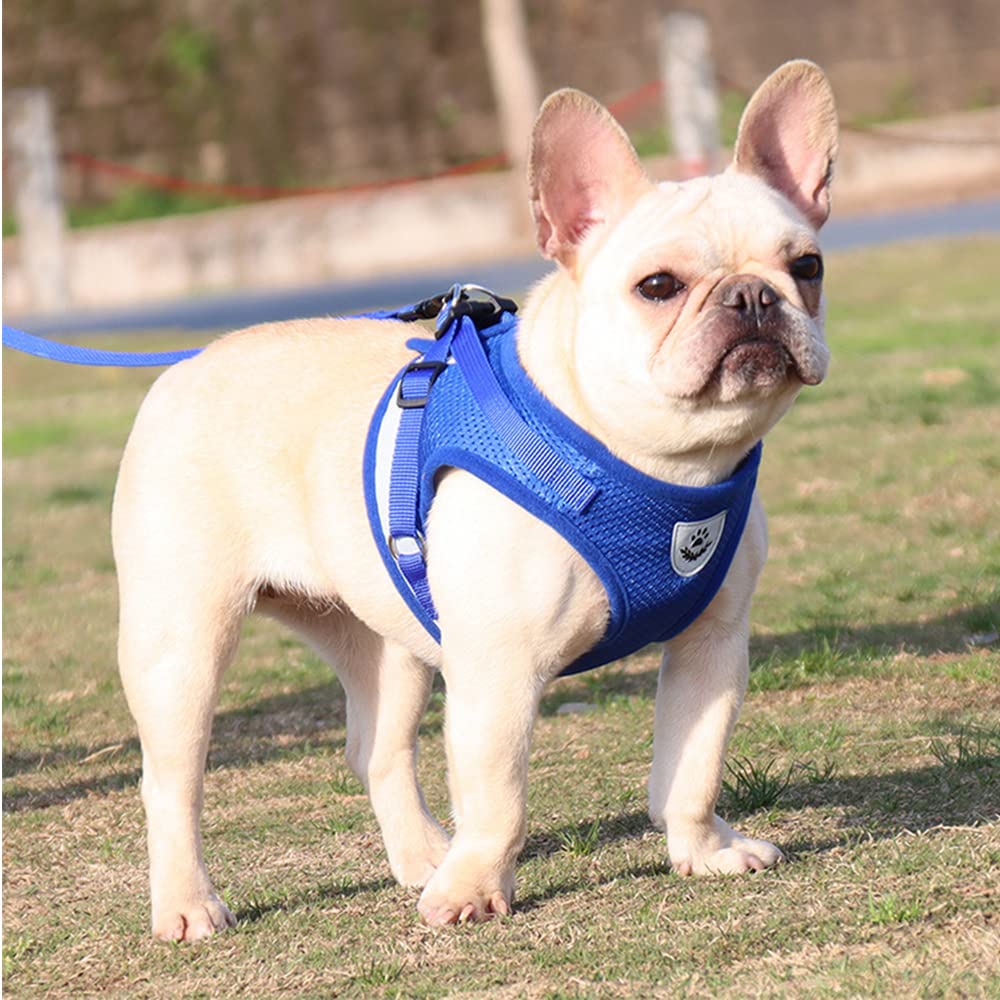Harnais de Gilet de Chien et Ensemble de Laisse, Harnais Réfléchissant Réglable sans Traction Adapté Petits Animaux Lapin/Souris/Chats
