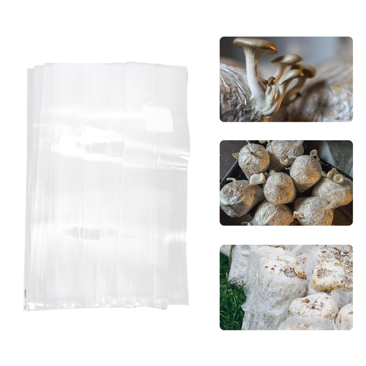 Lot de 50 Paquet de Culture de Champignons en PP Respirants et Faciles à Utiliser Culture de Shiitake et Autres Champignons, Format 25x50 Cm