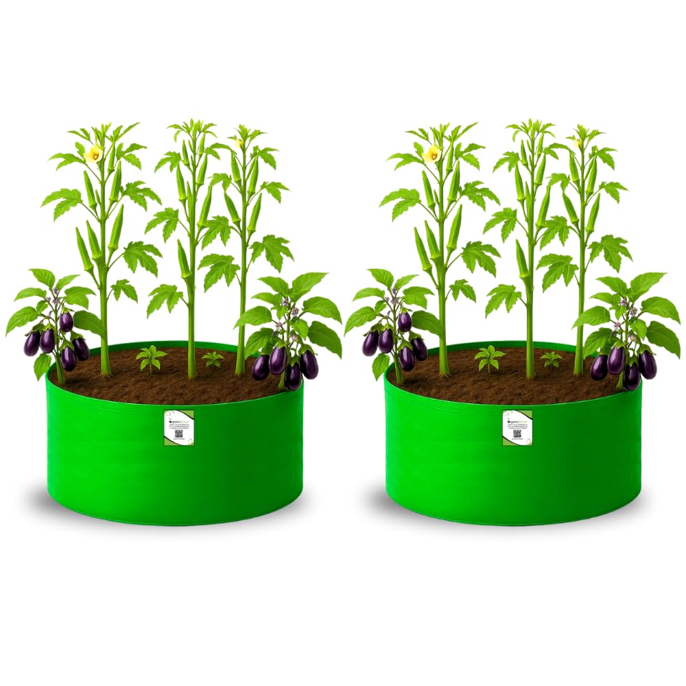 Big Fruit Plant Grow Bags - Organic Bazar (Pack of 2) -15 Big Fruit Plant Grow Bags - Organic Bazar (Pack of 2) -15