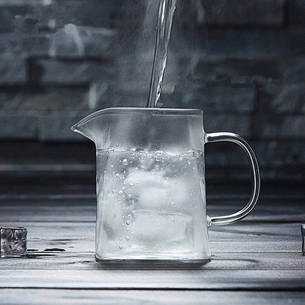 Teiera di Vetro 350 ml PLUIESOLEIL con Vetro Filtro in Acciaio Inox Inserto