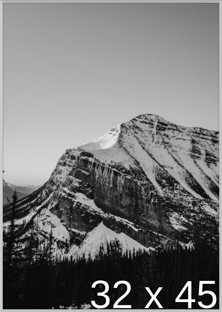 Amazon.co.jp: 32 x 45ポスターフレーム – プロファイル: # 93カスタム