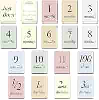 ひまわりページ　マンスリーカード Amazon.co.jp: クローズピン もん 手帳 2024年 A6 マンスリー