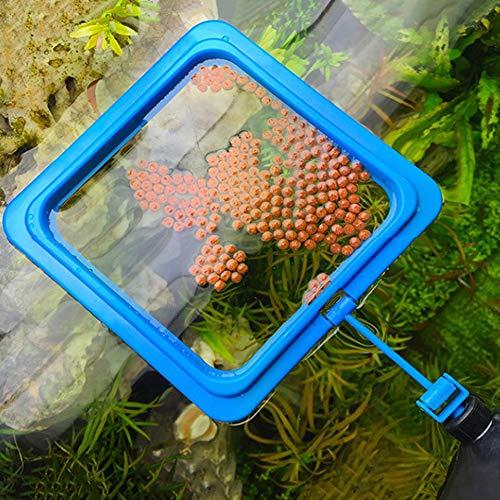 Mingfuxin Anneau d'alimentation carré flottant pour poissons - Pour tortues et aquarium Cover