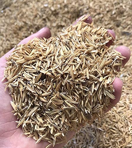 Natural Rice Husk/Hulls 100% Pure & Organic (1 kg) Rice Husk for Gardening (B0CGF263MV) Amazon Price History, Amazon Price Tracker