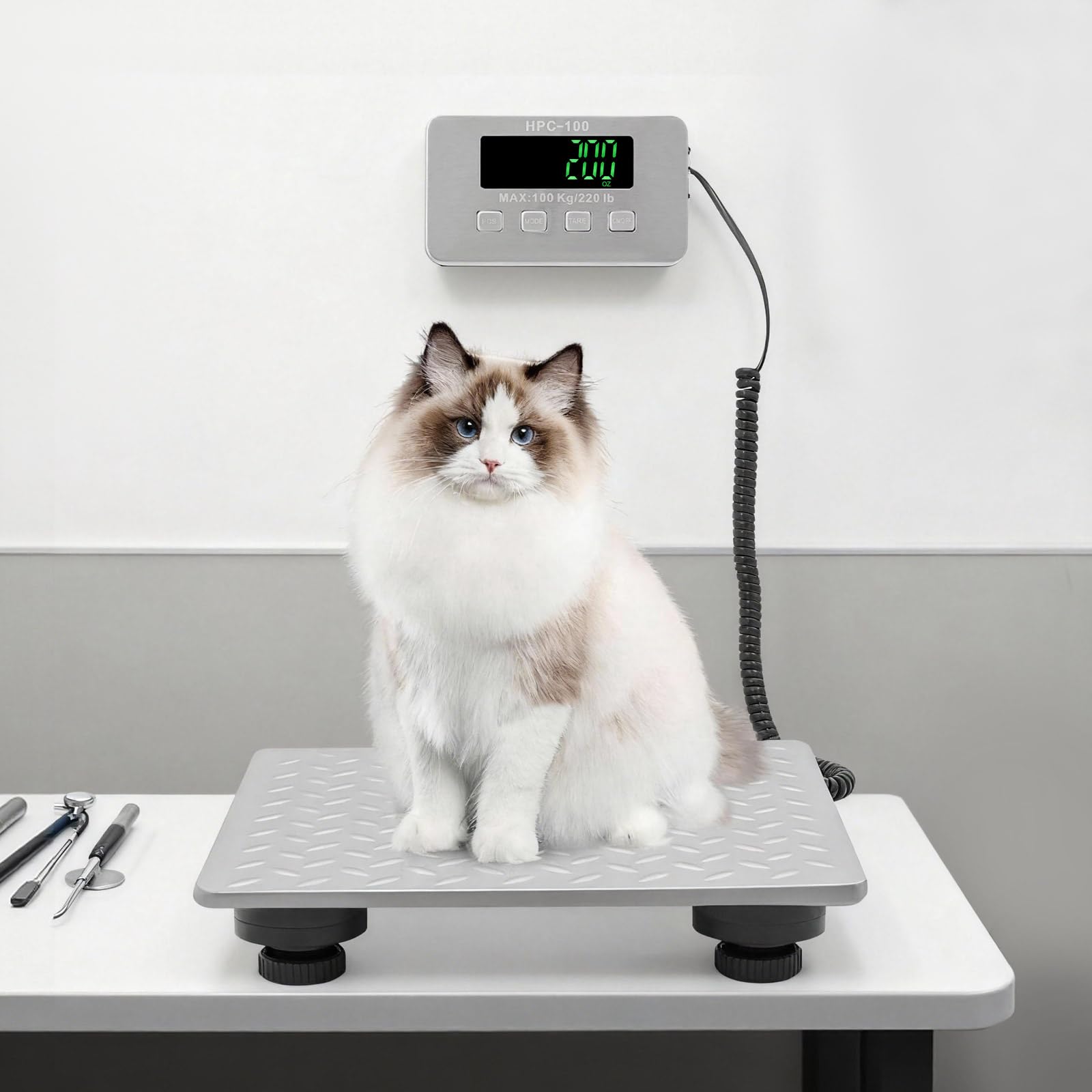 Bilancia digitale da 100 kg, robusta bilancia da terra con piattaforma antiscivolo, indicatore LED per kg/lbs, per pacchi, valigie e animali domestici, bilance di precisione in acciaio inox, montaggio