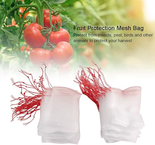 Miniatura 3 de Fdit 100pcs Plantas Frutas Bolsas Cordón Malla Bolsa Contra Aves Jardinería Herramientas Fruta Malla Bolsa