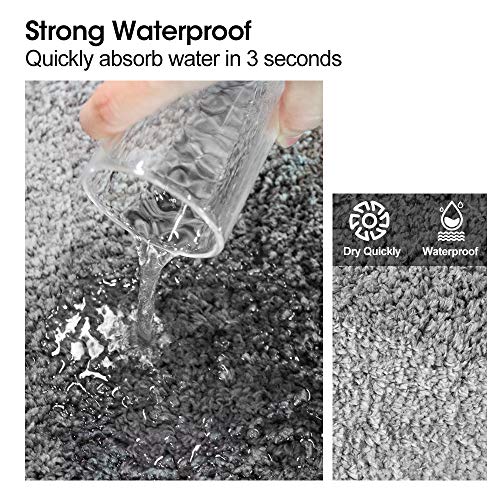 Lavuky DP10 - Zerbino lavabile per interni in