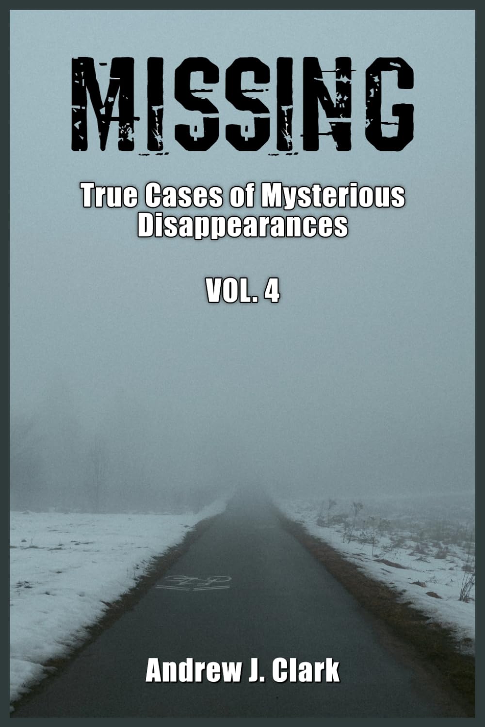 Missing: True Cases of Mysterious Disappearances Vol 4. (Missing Person Case Files)