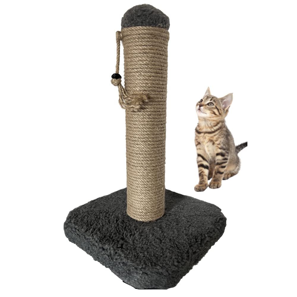 Petsfit 42 cm Cat Tree Tower with Bed | Scratching Post & Play Towers for Indoor Cats | Grey (22 x 22 x 32)