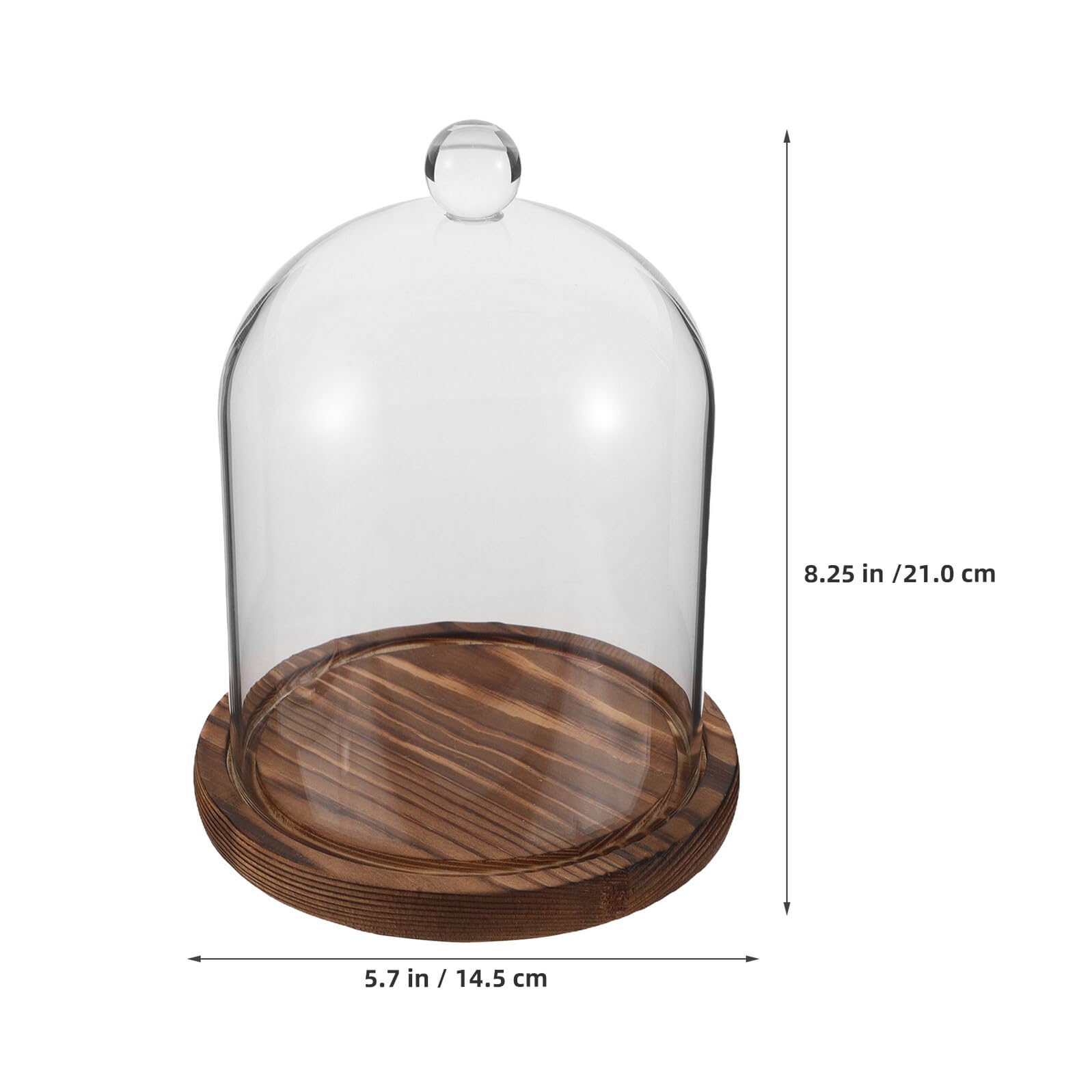 Teca di Vetro a Cupola per Esposizione Fiori Conservati con Base in Legno, Decorazione Romantica per Tavoli Feste e Casa, Vetro Borosilicato Trasparente
