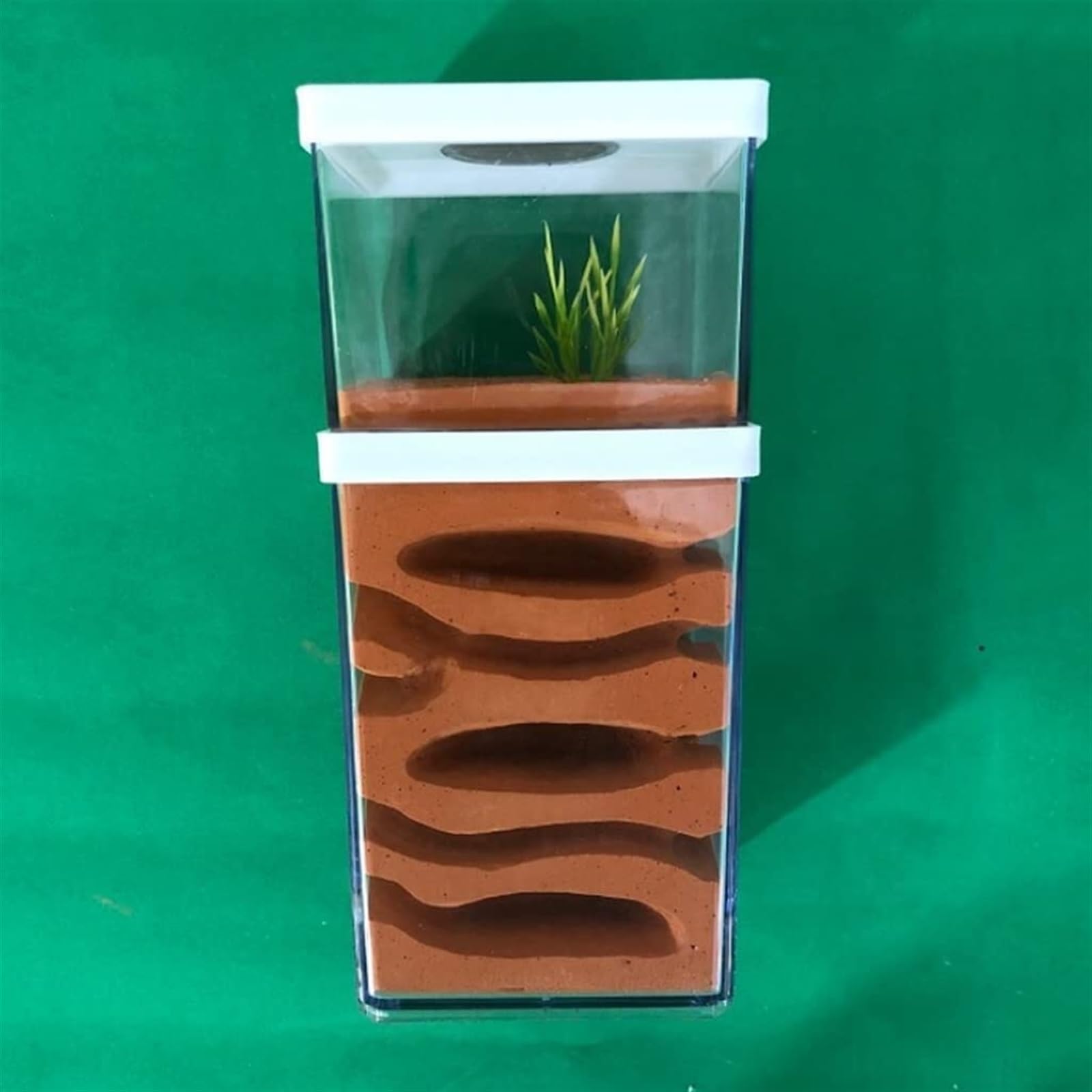 Ameisenfarm Nistkasten, Ant Castle Kunststoff Ant Farm Gips Ant Farm Fütterung Box Geschenk Ant Nest Castle Ameisenhaus