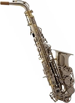 アルトサックス 銅メッキ クリアラッカー仕上げ Amazon | プロフェッショナル サックス クリアラッカー仕上げEbアルト