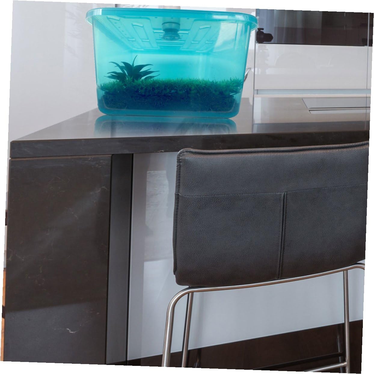 TEHAUX Terrario per Tartarughe di Terra in Plastica Blu con Pendenza Integrata e Funzione di Contenimento Acqua per Rettili Domestici