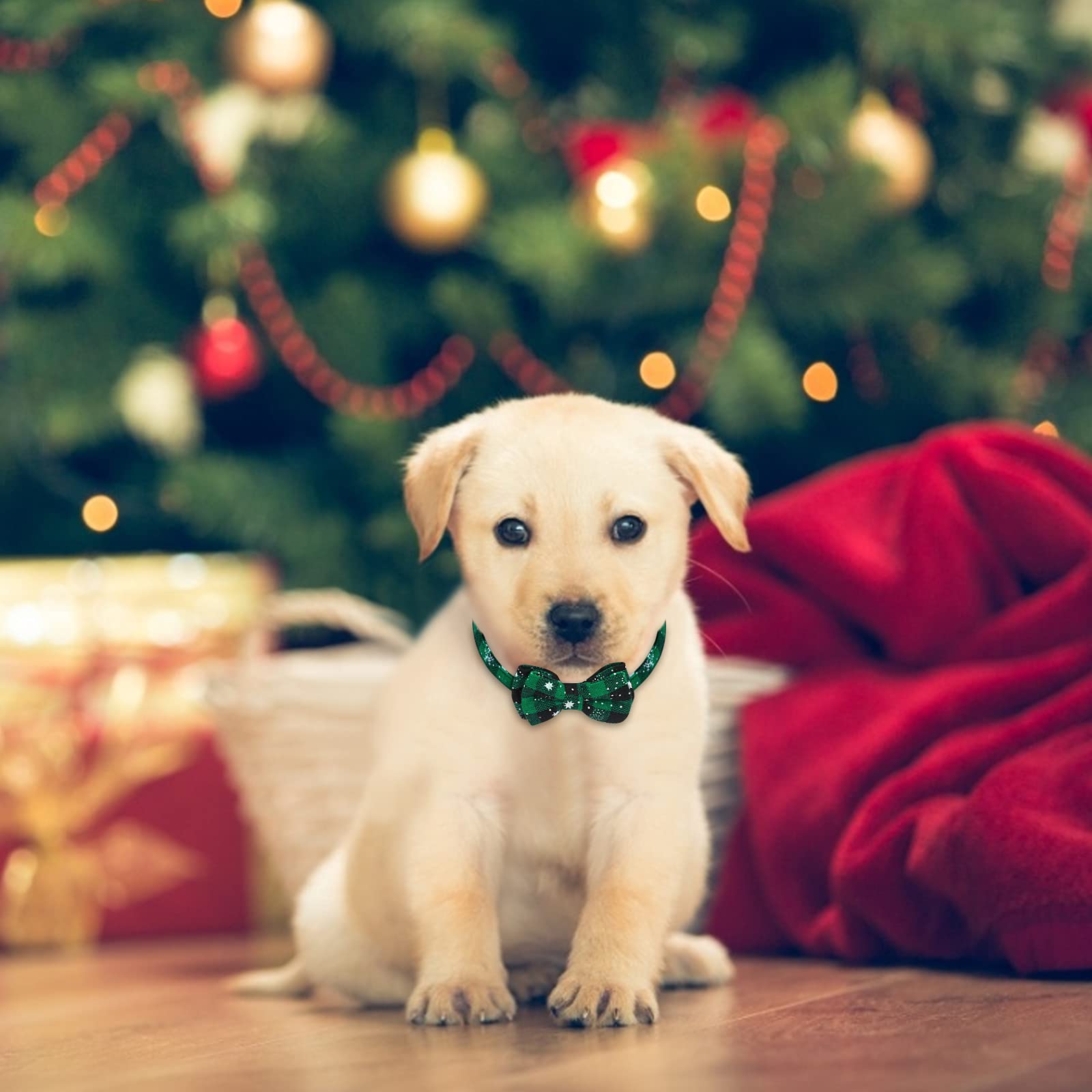 2x Weihnachtskatzenhalsband Mit Glöckchen & Fliege – Verstellbar, Niedliches Weihnachts-Design