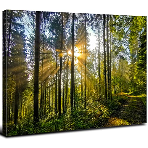 Sunrise Forest Canvas Wall Art for Living Room Nature Landscape Pictures Wall Decor Sunset Woods Mountain Painting Sunset Trees Trail Scenery Photo Prints Poster Artwork Bathroom Decorations 12x16”