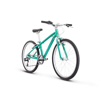 Raleigh マウンテンバイク ティールカラー Raleigh マウンテンバイク ティールカラー